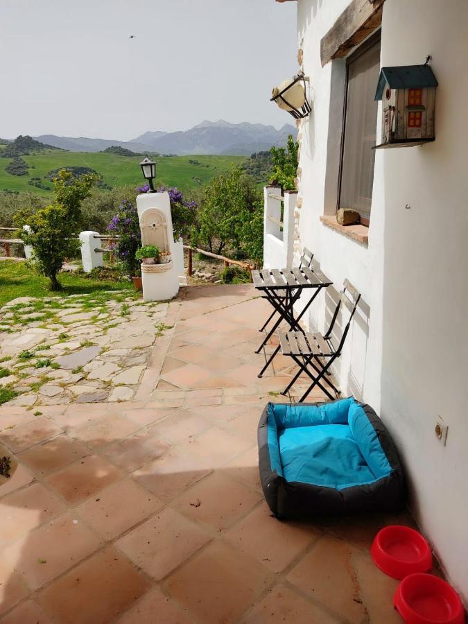 Huerta Nacimiento Montecorto