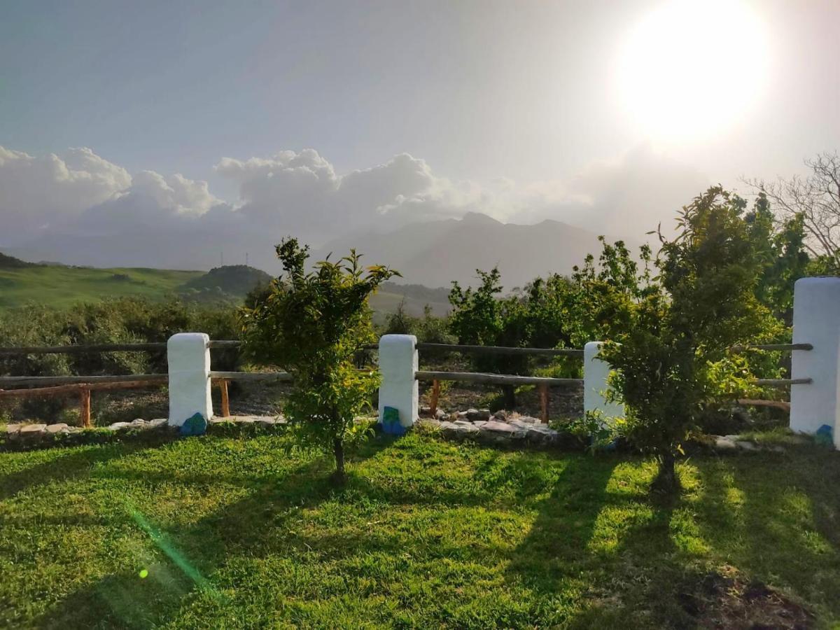 Huerta Nacimiento *