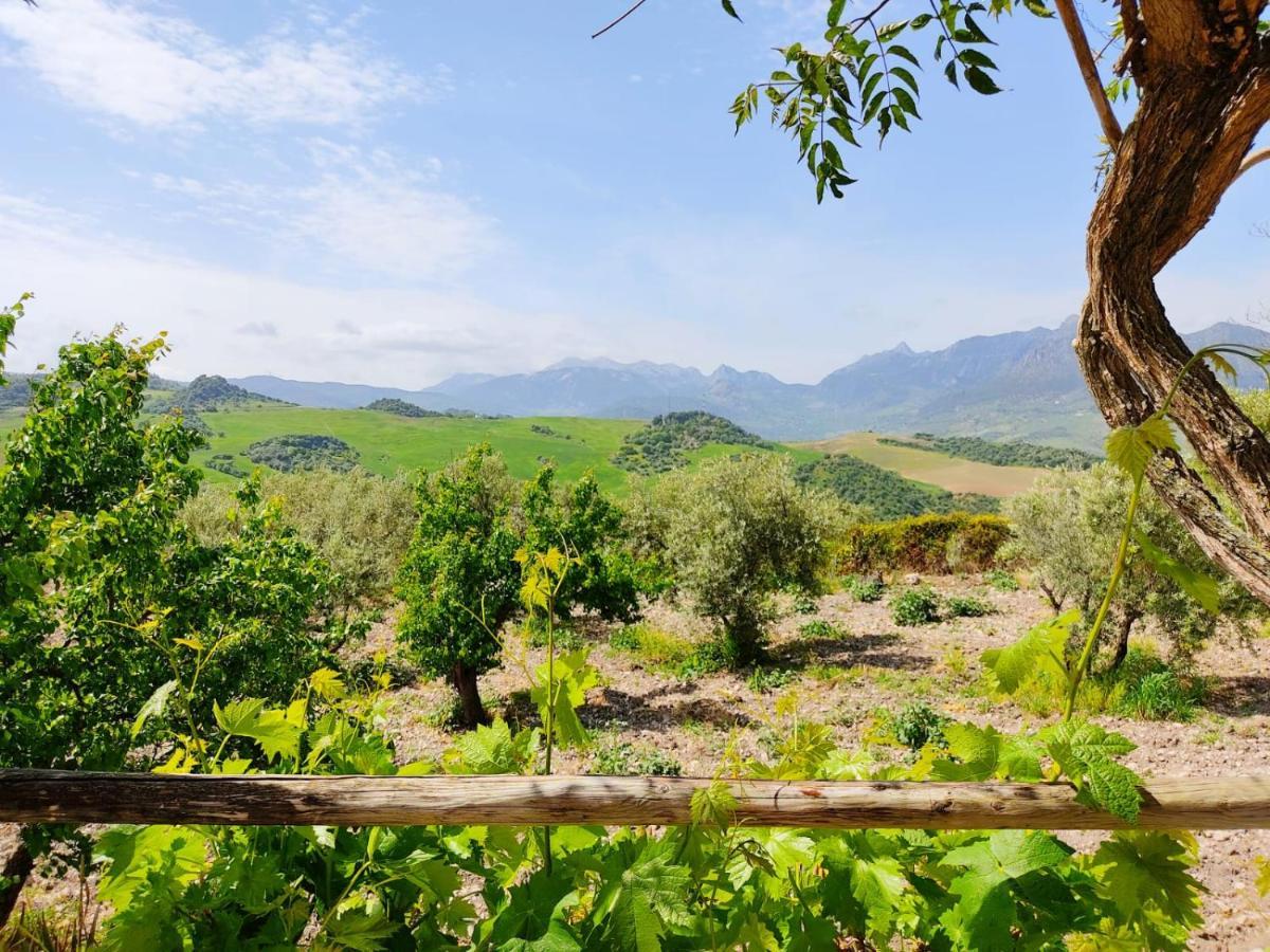 Huerta Nacimiento Montecorto